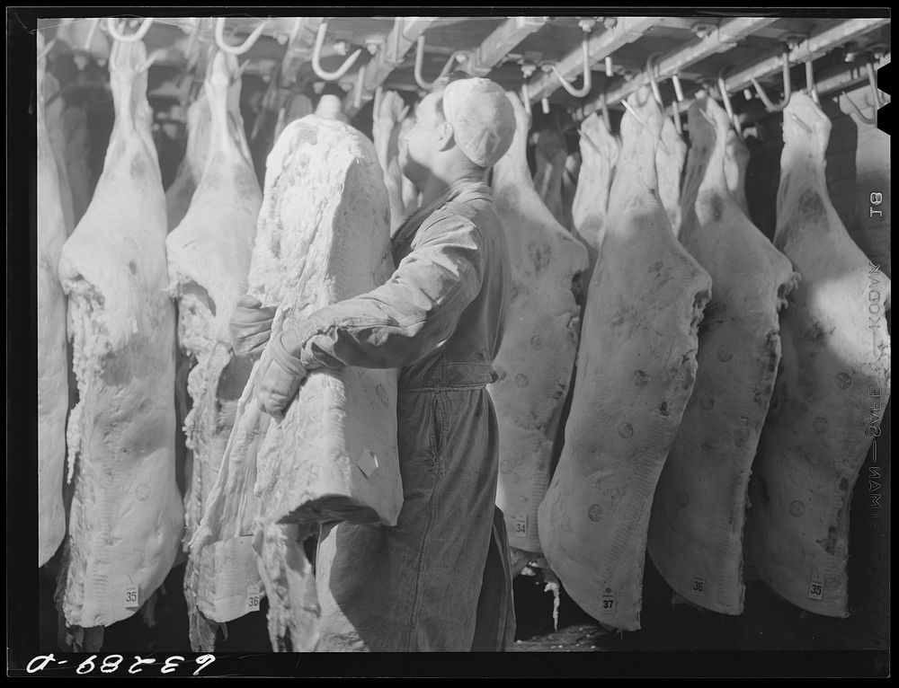 [Untitled photo, possibly related to: Packing beef into freight car for shipment. Packing plant. Austin, Minnesota]. Sourced…