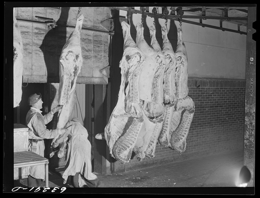 Loading beef into refrigerated freight car. Packing plant, Austin, Minnesota. Sourced from the Library of Congress.