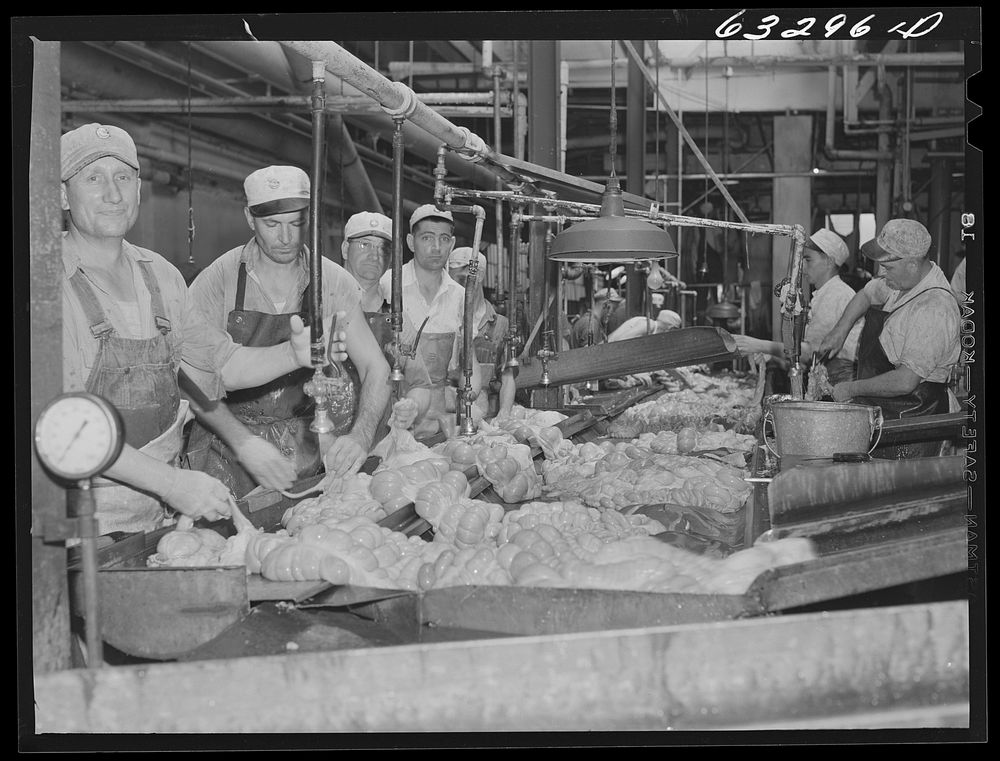Processing of hog innards. Packing plant, Austin, Minnesota. Sourced from the Library of Congress.