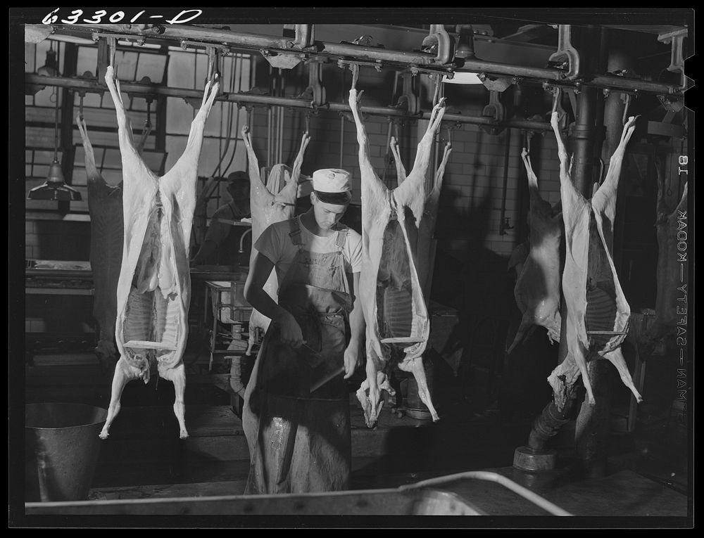 Beef carcasses on the production line. Packing plant, Austin, Minnesota. Sourced from the Library of Congress.