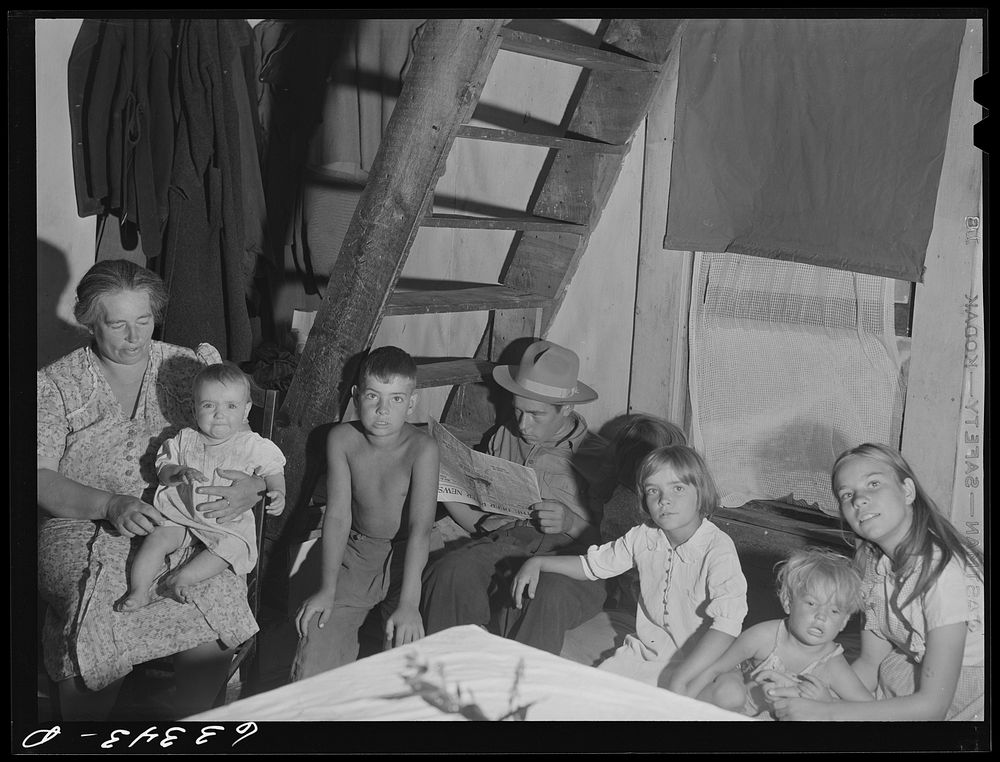 Family of FSA (Farm Security Administration) borrower. Itasca County, Minnesota, cut-over land. Sourced from the Library of…