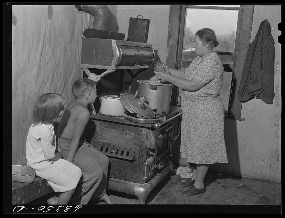 Wife of FSA (Farm Security Administration) borrower removing canned cherries from pressure cooker. Itasca County, Minnesota…