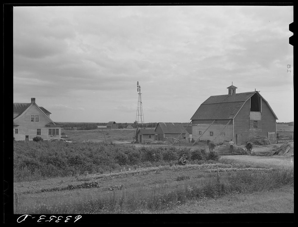 Farmstead of Russell Sherman Else, Douglas County, Wisconsin. He moved here three years ago from Nebraska drought area, and…