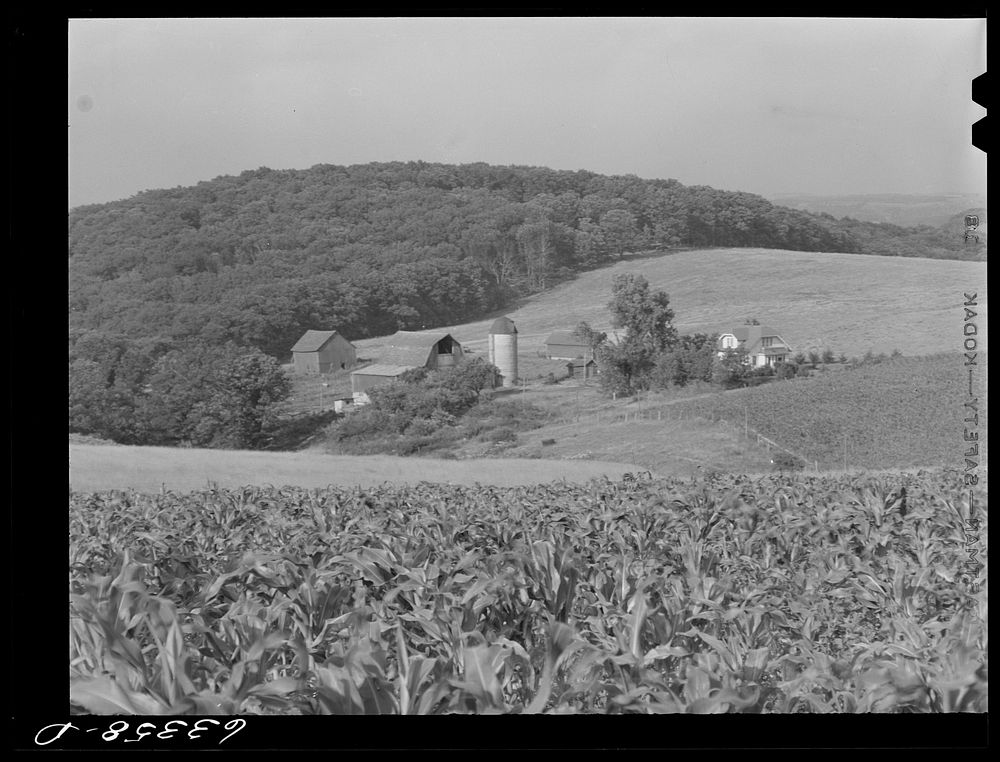 Dairy farm. Iowa County, Wisconsin. Sourced from the Library of Congress.