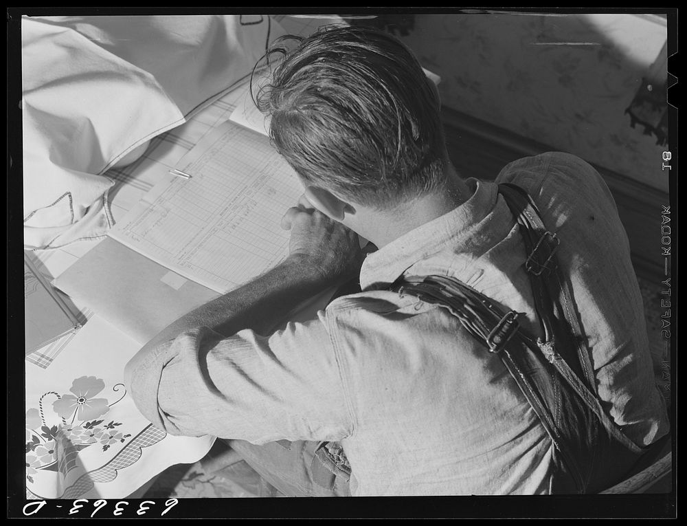 Douglas County, Wisconsin. FSA (Farm Security Administration) borrower working over his account book. Sixteen families from…