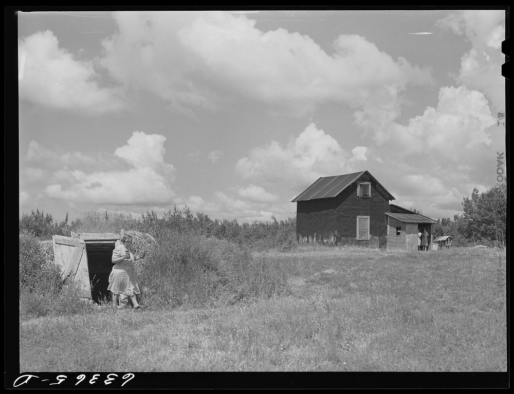 Wife of FSA (Farm Security Administration) borrower coming from storage cellar with canned fruit. Itasca County, cut-over…