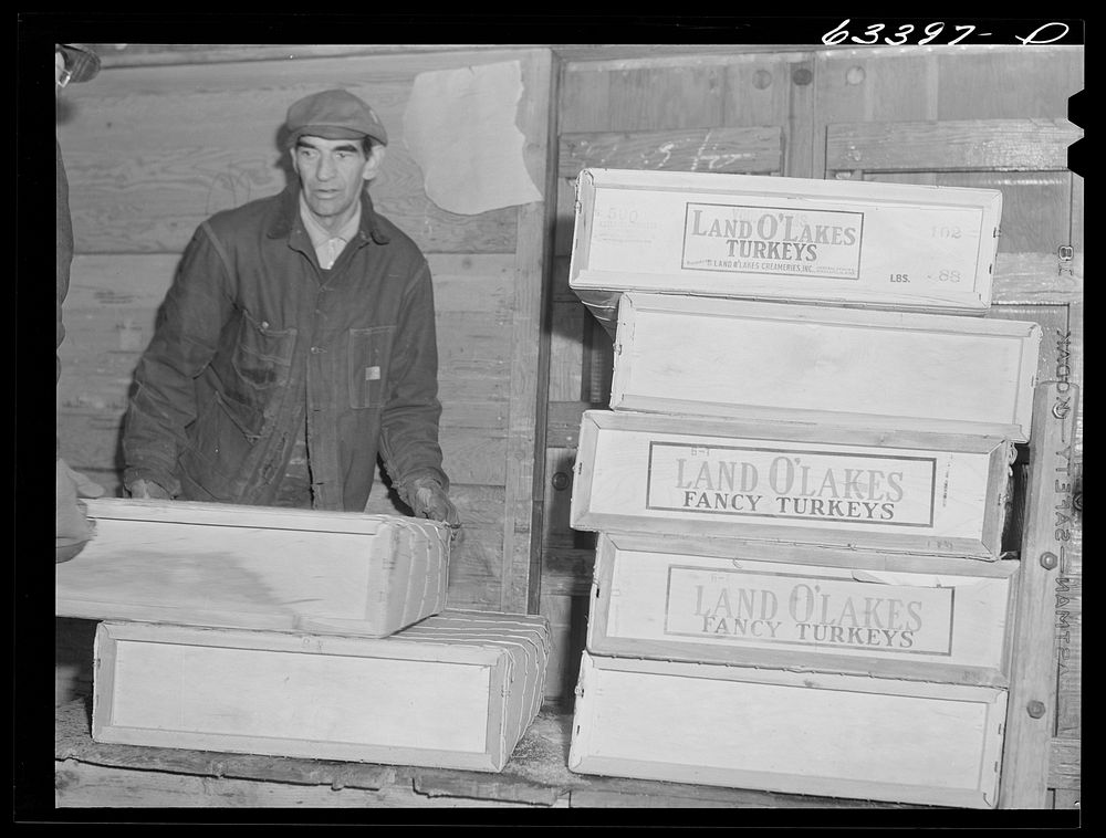 [Untitled photo, possibly related to: Butter and poultry in cold storage. Land O'Lakes plant, Minneapolis, Minnesota].…