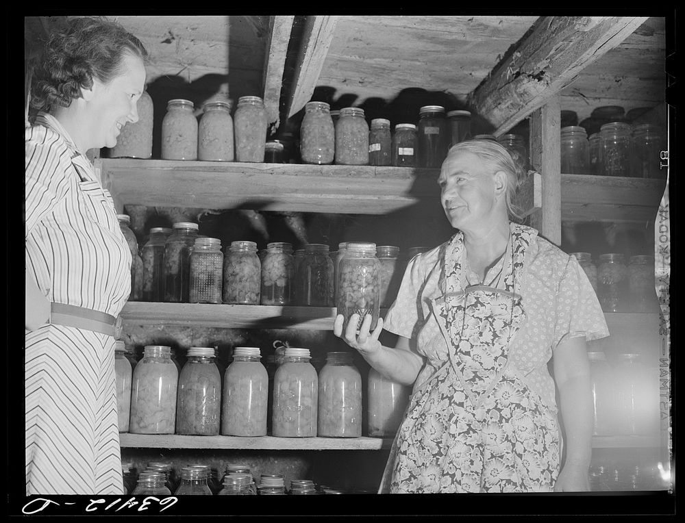 Wife of FSA (Farm Security Administration) borrower showing canned goods to home supervisor. Mille Lacs County, Minnesota.…