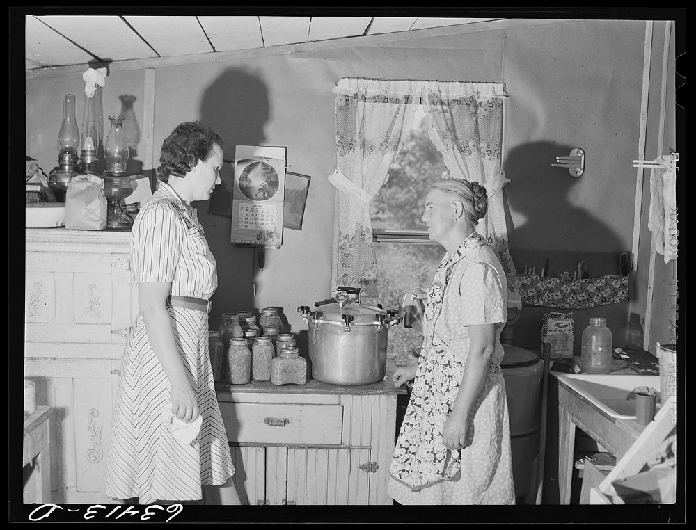 Wife of FSA (Farm Security Administration) borrower discussing pressure cooker with home supervisor. Mille Lacs County…