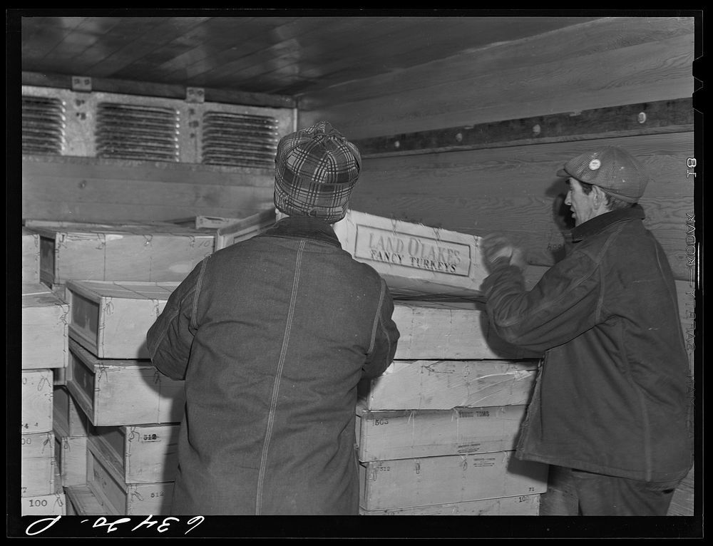 [Untitled photo, possibly related to: Loading packaged butter onto freight car. Land O'Lakes plant, Minneapolis, Minnesota].…