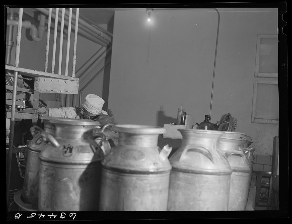 [Untitled photo, possibly related to: Receiving and weighing milk at creamery. Antigo, Wisconsin]. Sourced from the Library…