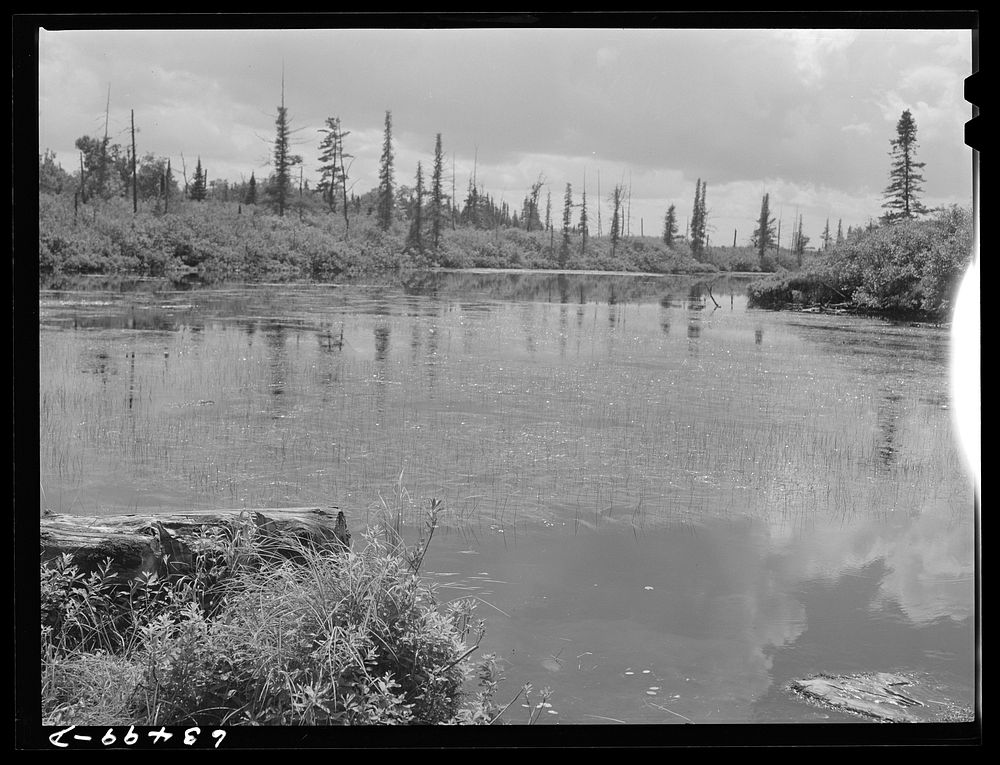 Baraga County, Michigan. Upper penninsula. Sourced from the Library of Congress.