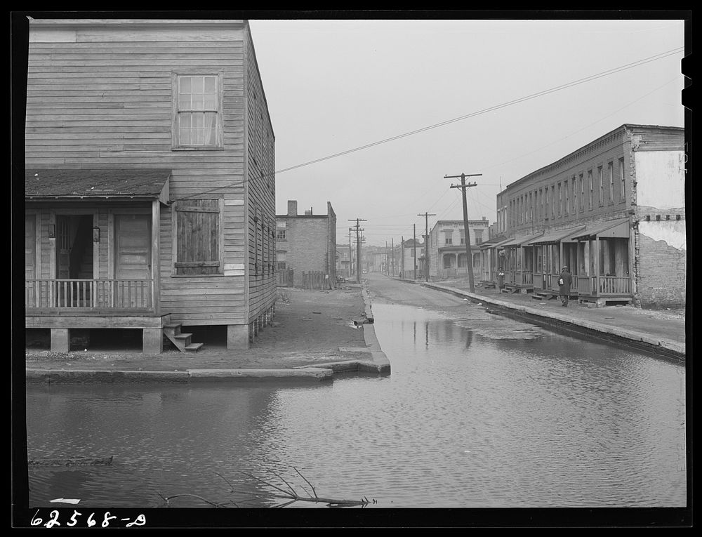 [Untitled photo, possibly related to: Backed up sewer in   district. Norfolk, Virginia]. Sourced from the Library of…