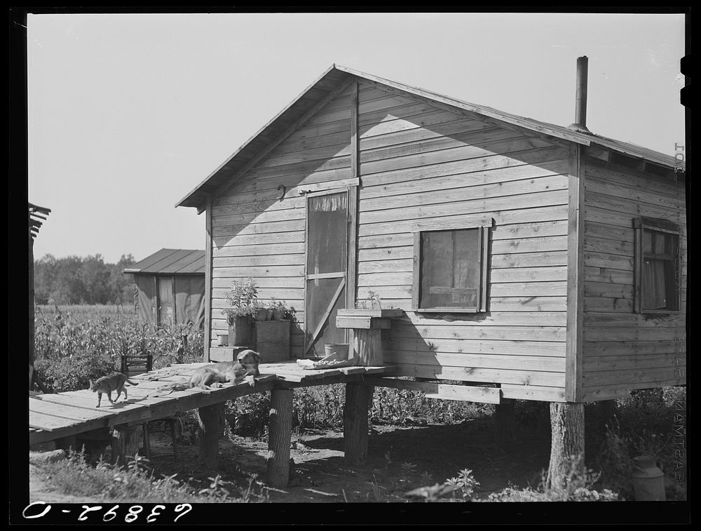 Mexican home in sugar beet area. Saginaw County, Michigan. Sourced from the Library of Congress.