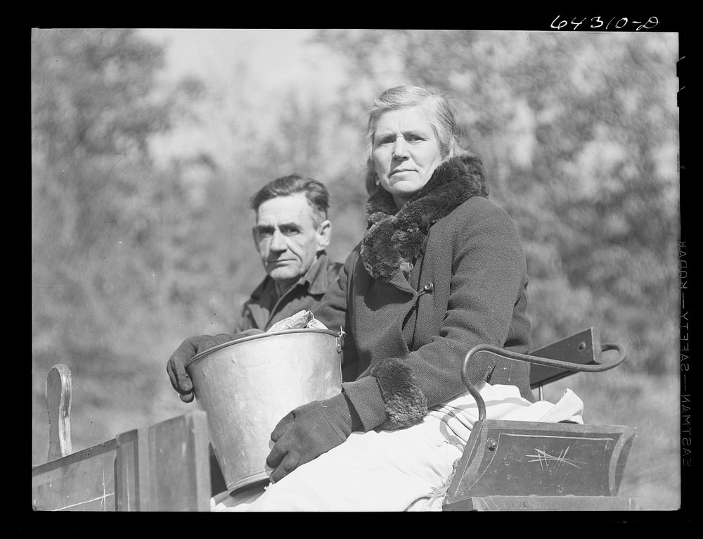 [Untitled photo, possibly related to: Carter County, Missouri. FSA (Farm Security Administration) borrowers]. Sourced from…