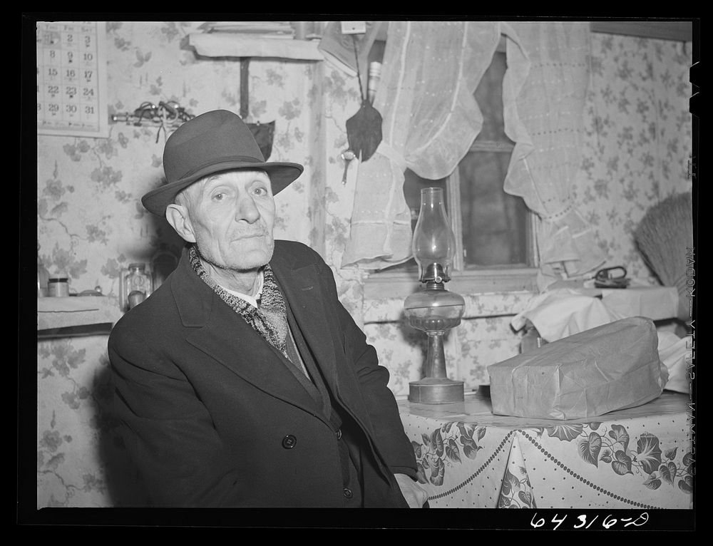 [Untitled photo, possibly related to:  Washington County, Illinois. Billy Williams, sity-five year-old squatter, living in…