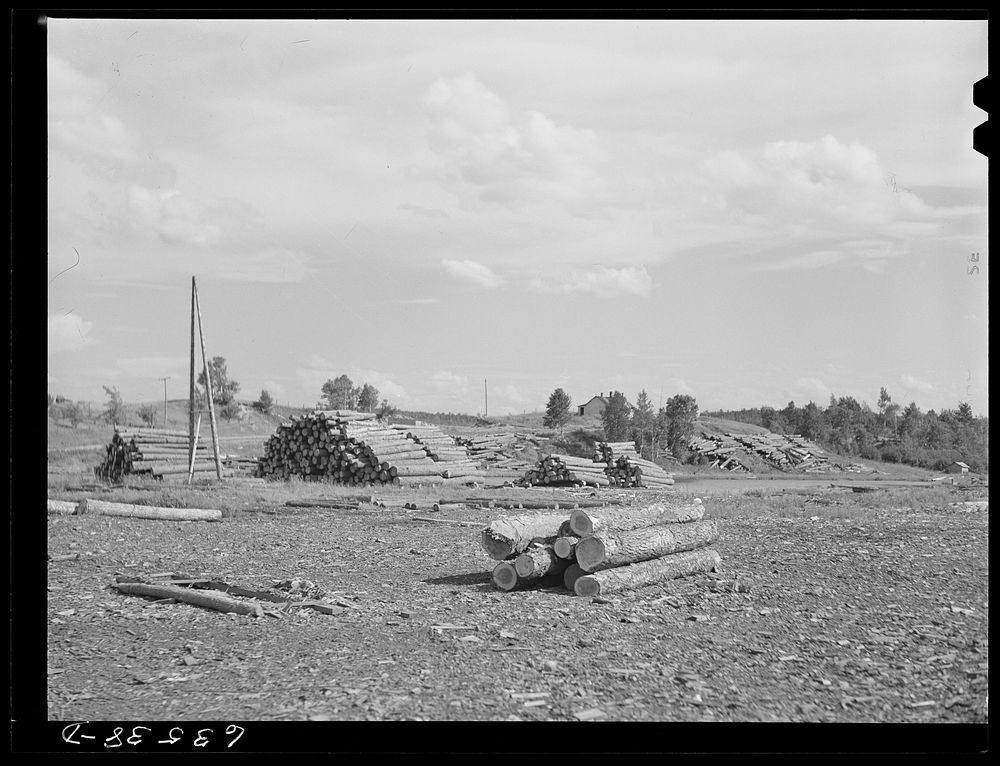 Logs at lumber mill. Trout Creek, Michigan. Sourced from the Library of Congress.