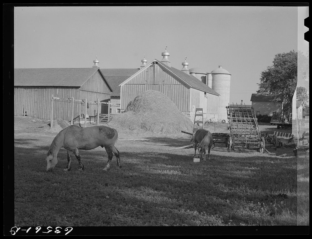 Farm. Shawano County, Wisconsin. Sourced from the Library of Congress.
