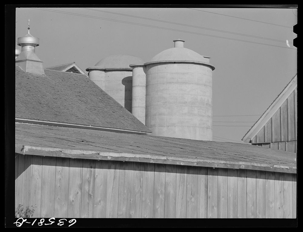 Farm building. Shawano County, Wisconsin. Sourced from the Library of Congress.