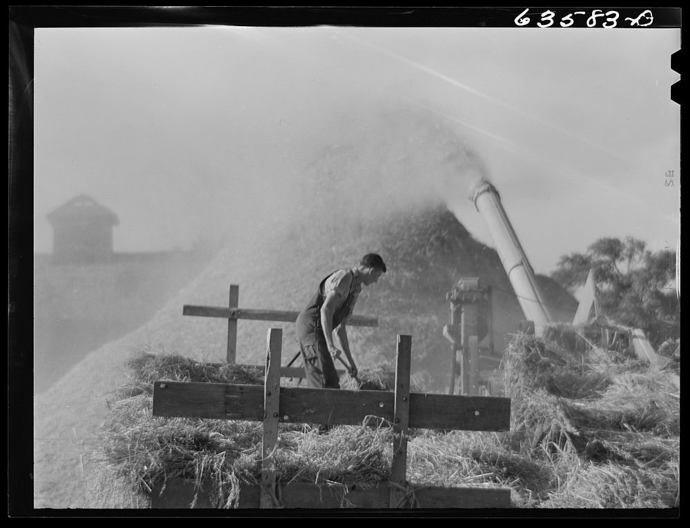 Threshing rye. Portage County, Wisconsin. Sourced from the Library of Congress.