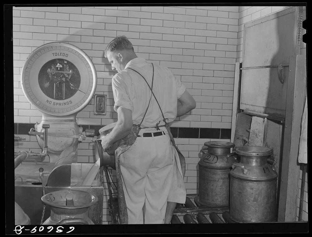 Weighing milk in the receiving room. Duluth Milk Company. Duluth, Minnesota. Sourced from the Library of Congress.