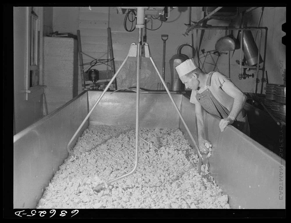 Making American cheese. Antigo, Wisconsin. Sourced from the Library of Congress.