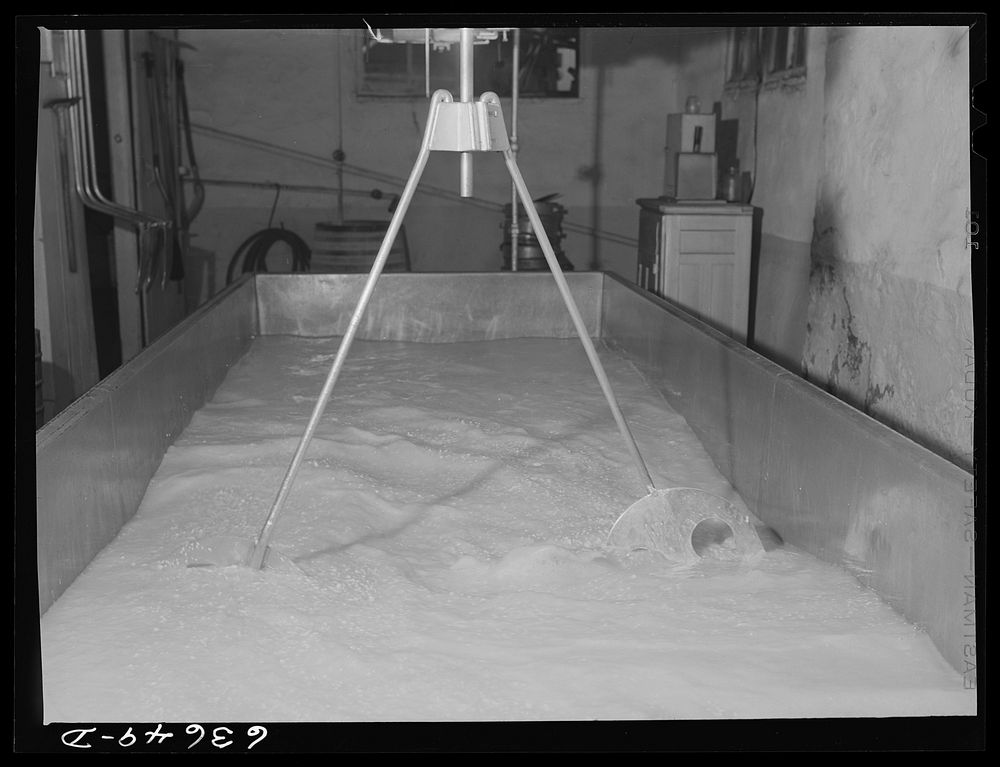 [Untitled photo, possibly related to: Rural cheese maker operates small factory with help of his daughter. Near Portage…