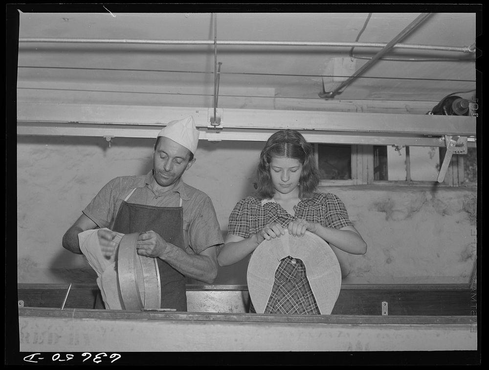 Rural cheese maker operates small factory with the aid of his daughter. Near Portage, Wisconsin. Sourced from the Library of…