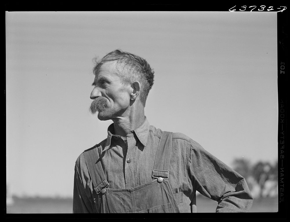 Farmer. Isabella County, Michigan. Sourced from the Library of Congress.