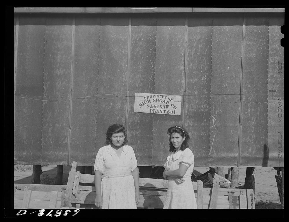 [Untitled photo, possibly related to: Wives of sugar beet workers. Saginaw County, Michigan]. Sourced from the Library of…