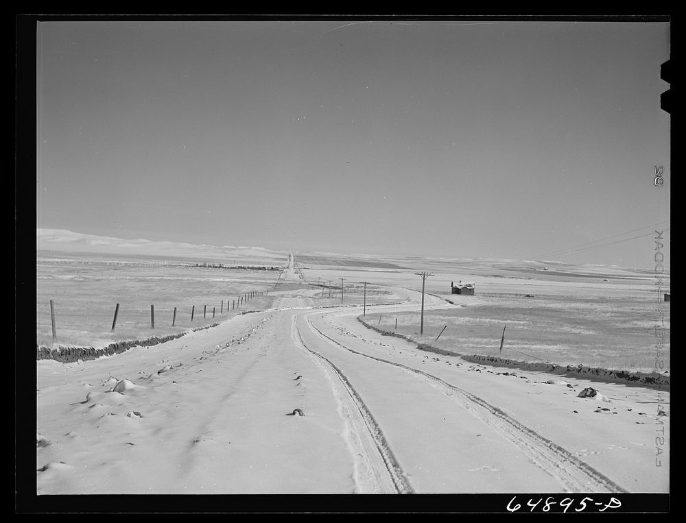 Adams County, North Dakota. Rural road. Sourced from the Library of Congress.