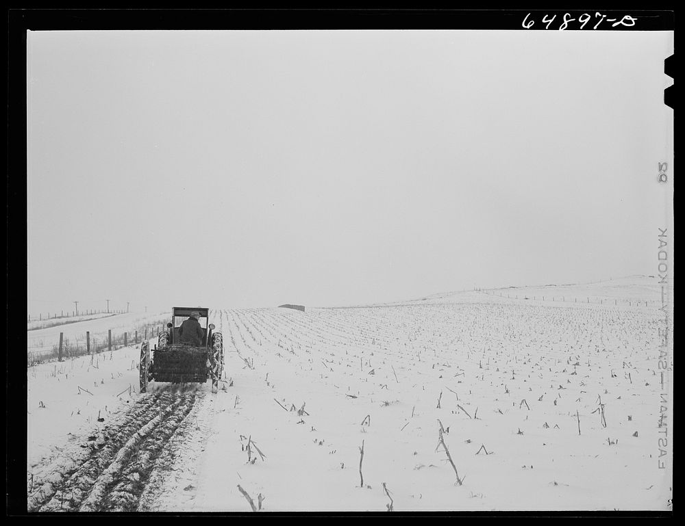 Adams County, North Dakota. Stock farmer George P. Moeller spreading manure in his cornfield. Sourced from the Library of…