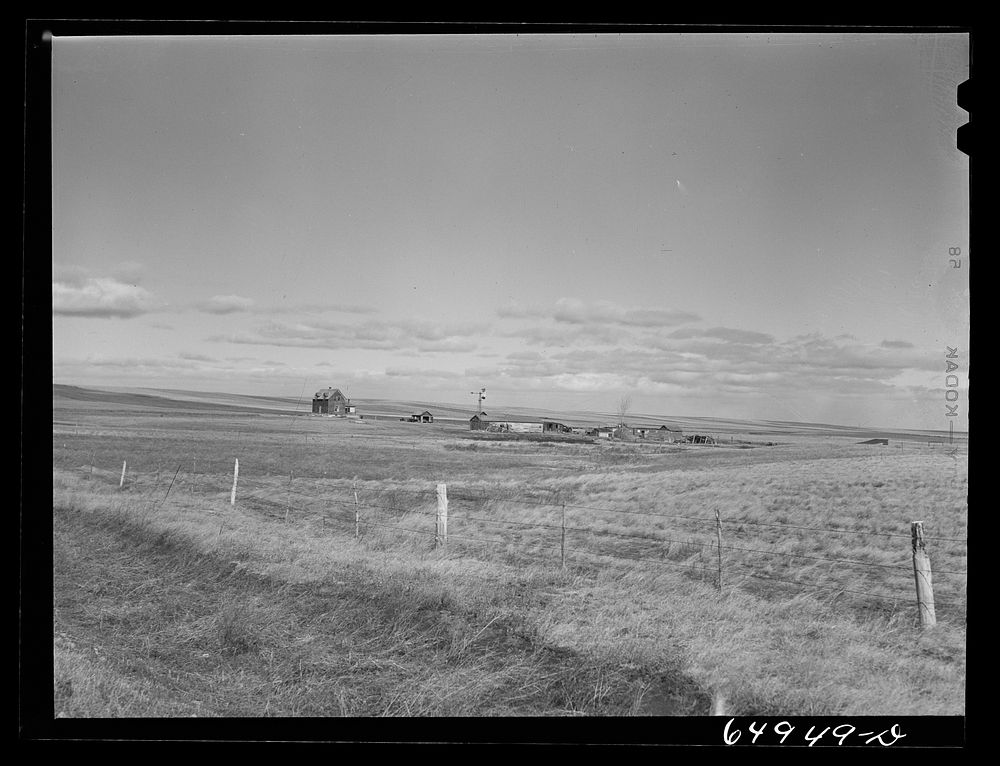 [Untitled Photo, possible related to: McCone County, Montana. Dry land area]. Sourced from the Library of Congress.