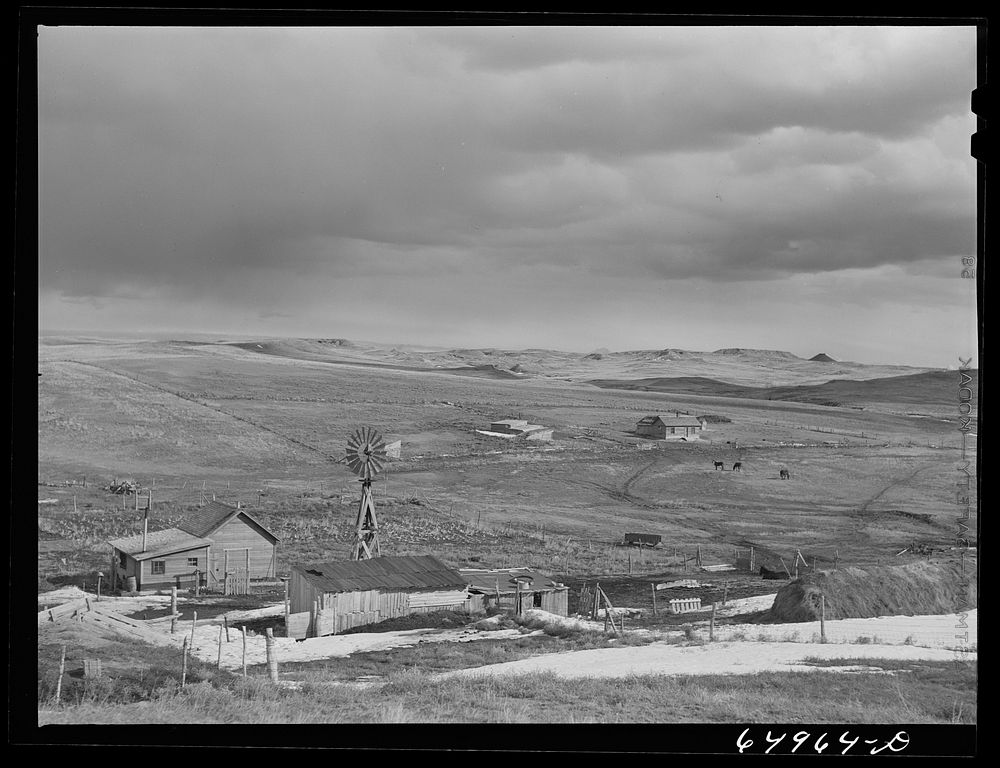 Garfield County, Montana. Sheep ranch of Charles McKenzie. Sourced from the Library of Congress.