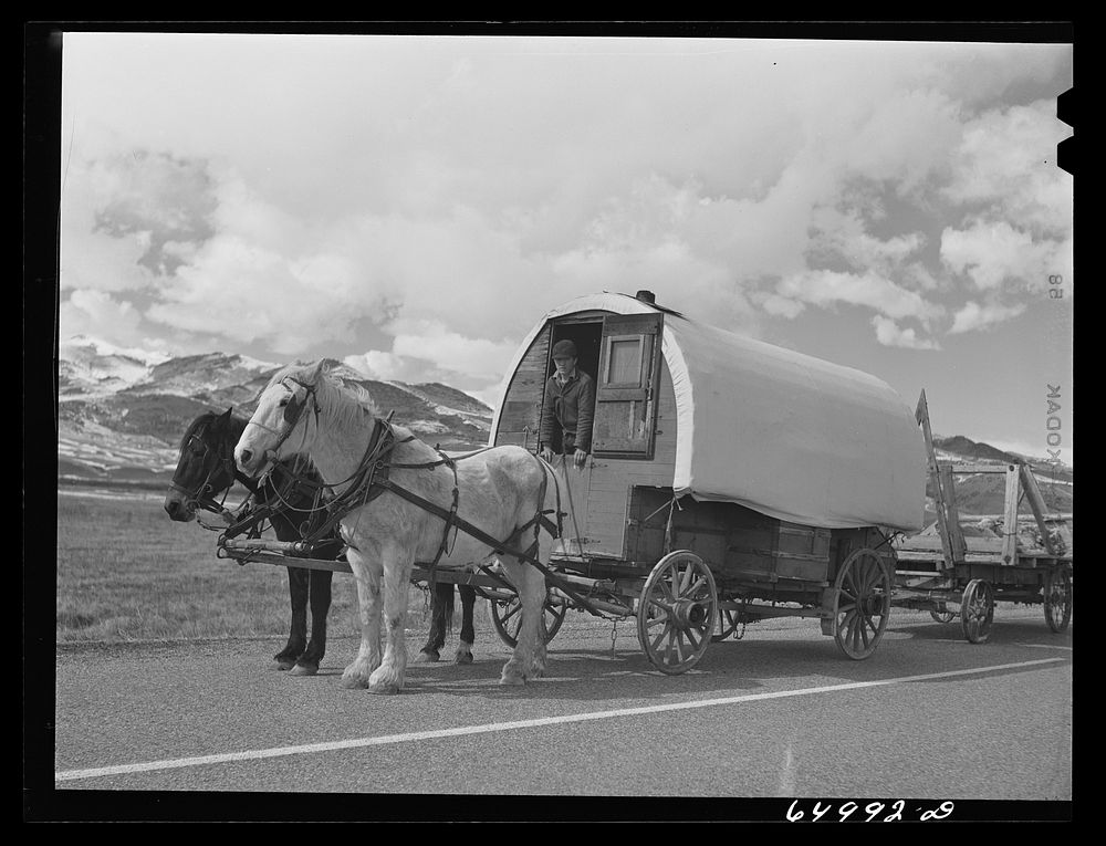 Beaverhead County, Montana. Sheep wagon coming down from the range for lambing. Sourced from the Library of Congress.