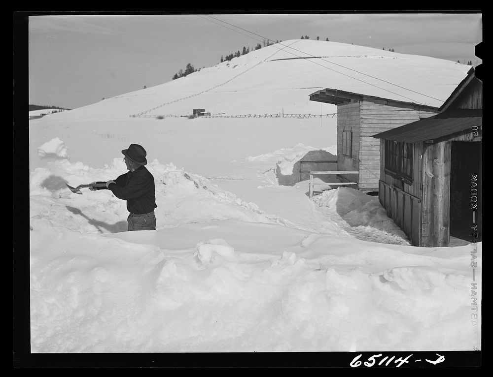 Granite County, Montana. Shoveling a path out to the highway. Sourced from the Library of Congress.