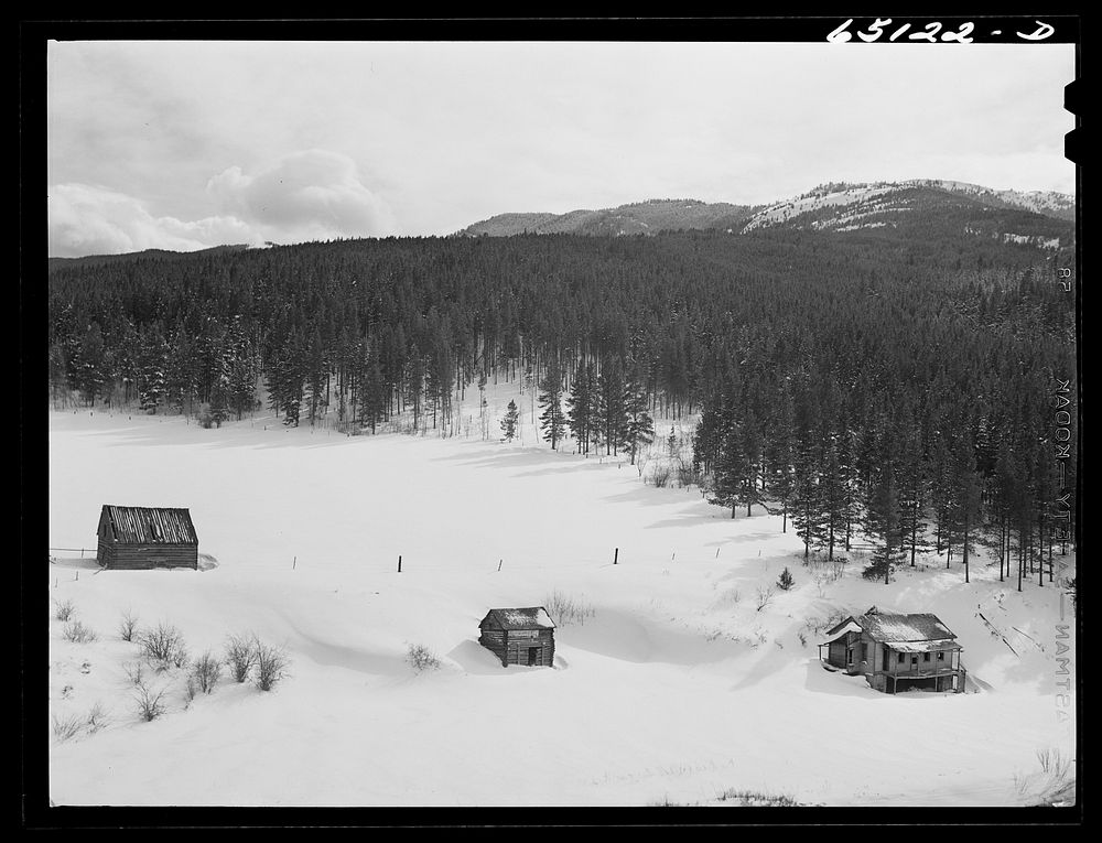 Park County, Montana. Abandoned farmstead. Sourced from the Library of Congress.