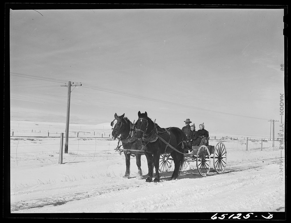 Wheatland County, Montana. Farmer and daughters driving to town. Sourced from the Library of Congress.