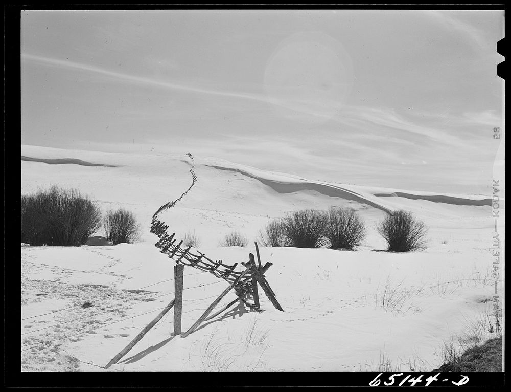 Beaverhead County, Montana. Rail fence. Sourced from the Library of Congress.