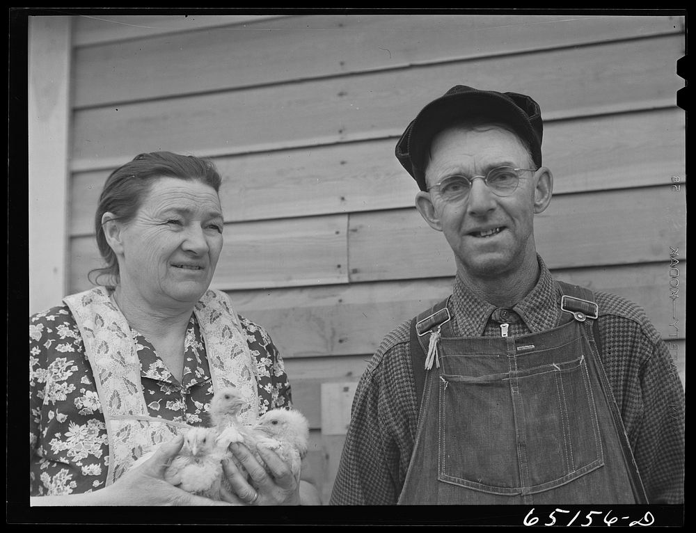 Flathead Valley special area project, Montana. Mr. and Mrs. Albert Ward. They came here from Missouri. Sourced from the…