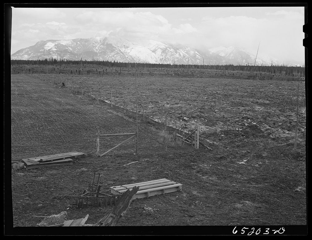 Flathead special area project, Montana. Seeded land, land plowed for the first time this year, and in the background, land…