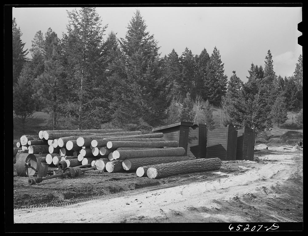 Kalispell, Montana. Flathead valley special area project. WPA (Work Projects Administration) privies built at FSA (Farm…