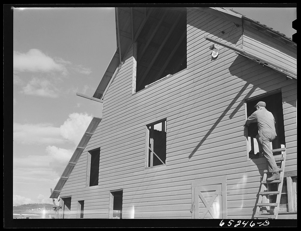 Flathead Valley special area project, Montana. Milton Stiles, FSA (Farm Security Administration) borrower, building a barn.…