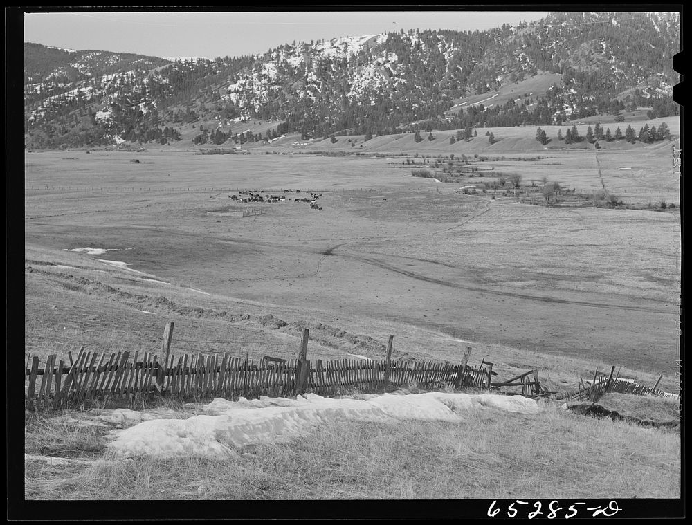 Bitterroot Valley, Ravalli County, Montana. Ross's Hole. Sourced from the Library of Congress.