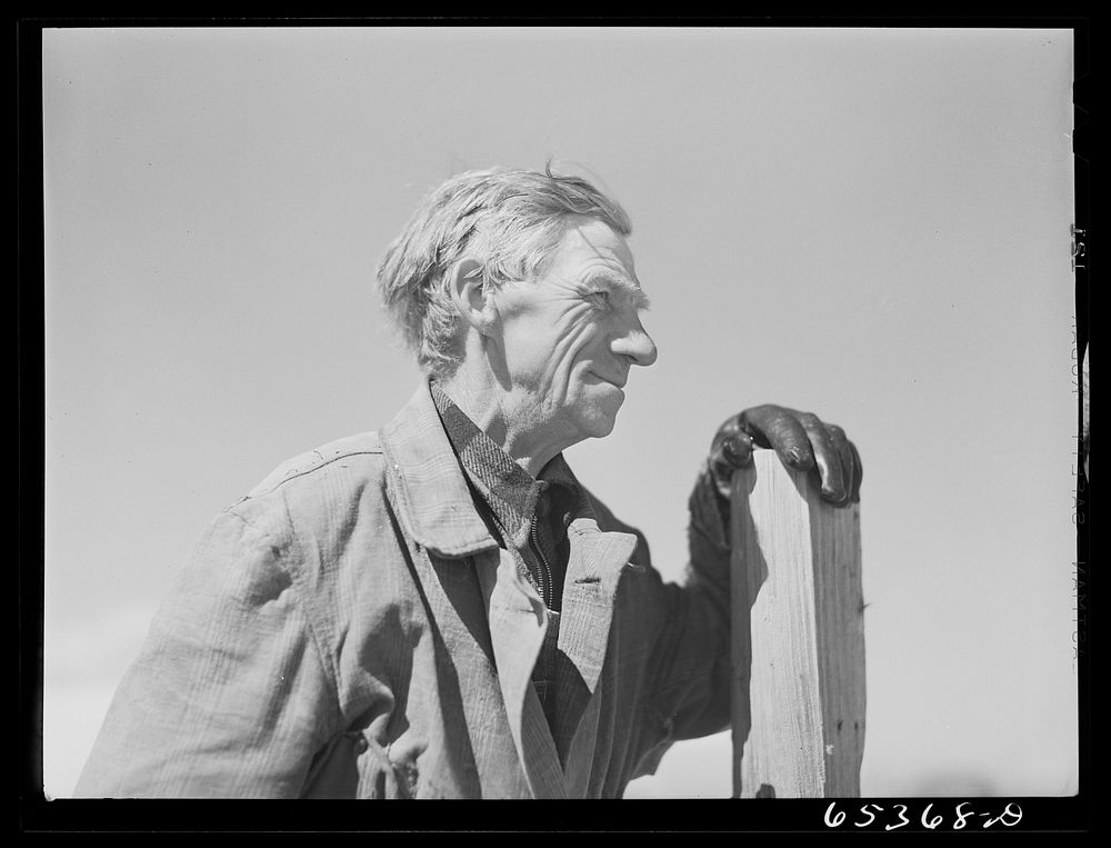 Ravalli County, Montana. Old Russian-born sheepherder and lambing hand. Sourced from the Library of Congress.