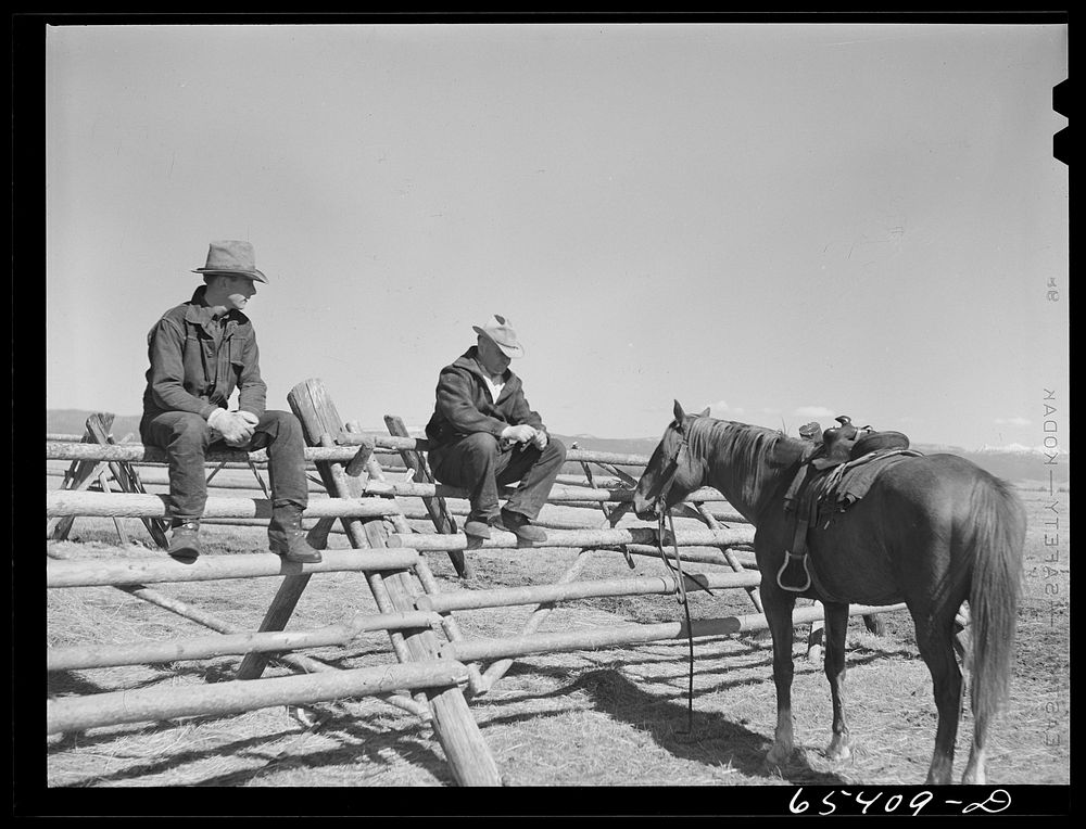 [Untitled photo, possibly related to: Beaverhead County, Montana. Cowhands on the Spokane Ranch]. Sourced from the Library…