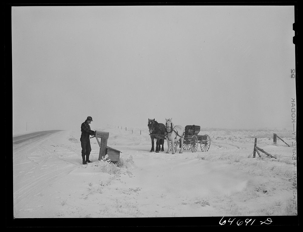 [Untitled photo, possibly related to: Morton County, North Dakota. Farm boy bring home the morning mail]. Sourced from the…