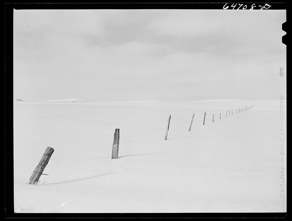 Stark County, North Dakota. Barbed wire fence poles. Sourced from the Library of Congress.