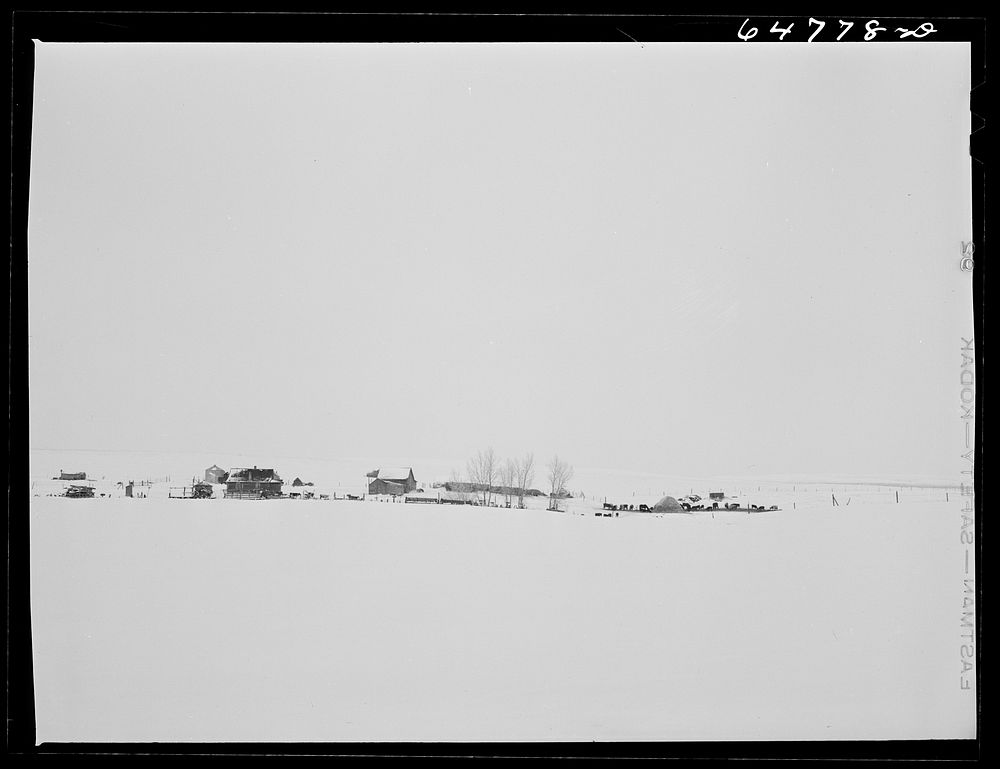 Stark County, North Dakota. Stock farm. Sourced from the Library of Congress.