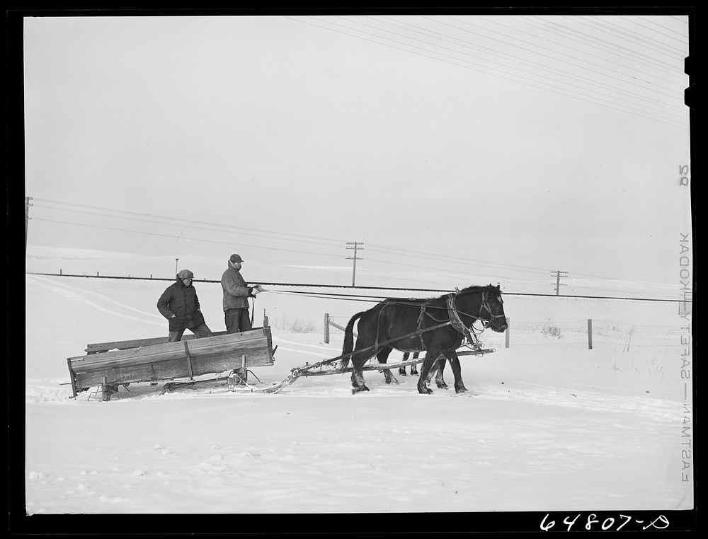 [Untitled photo, possibly related to: Stark County. North Dakota]. Sourced from the Library of Congress.